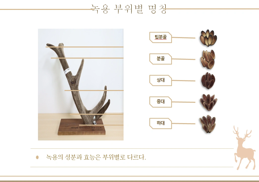 민성한의원 발효한약