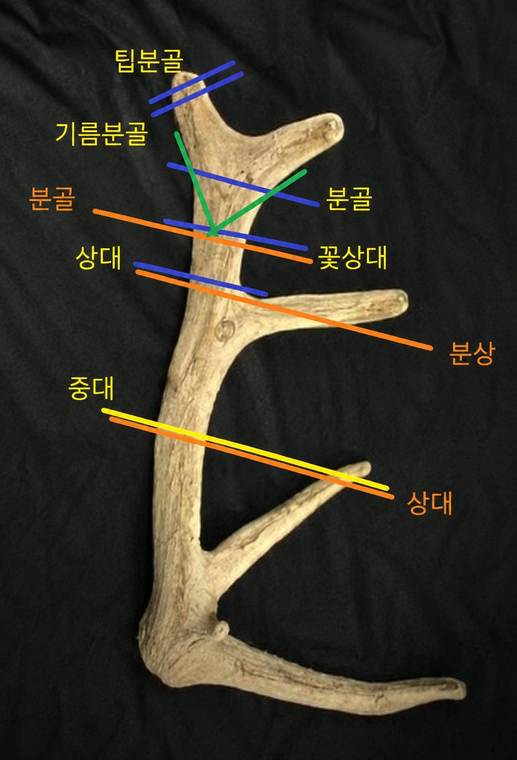 민성한의원 발효한약